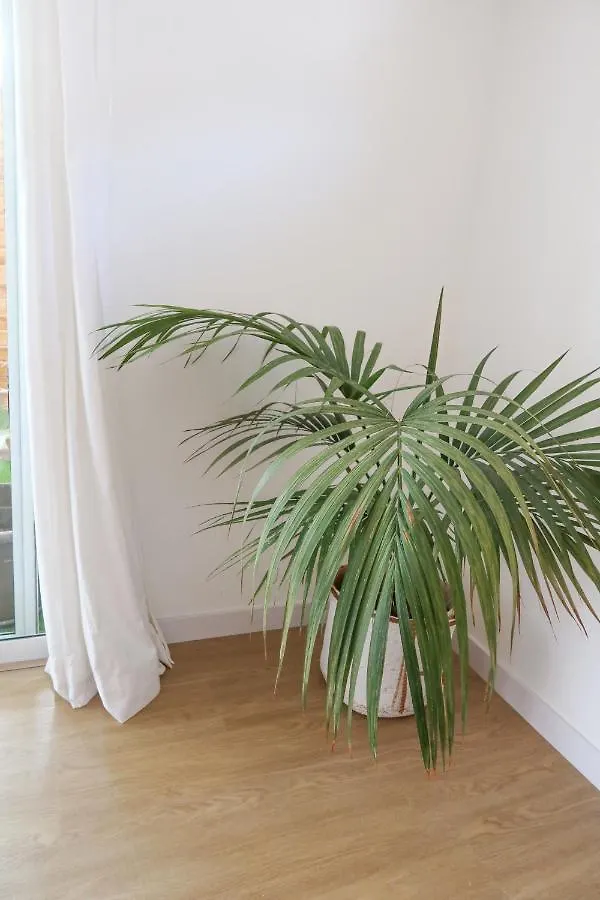 Apartment Casitas Tenerife - Papacho Loft Costa Adeje  Spain