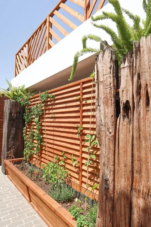Casitas Tenerife - Papacho Loft Costa Adeje  Apartment